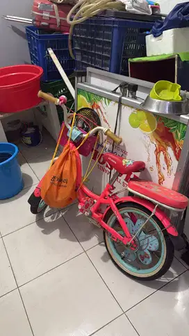 Jual Sepeda Anak- Anak ( Nego )