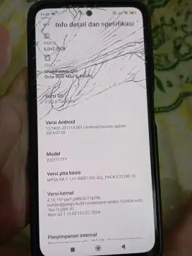 Redmi note 11 pro