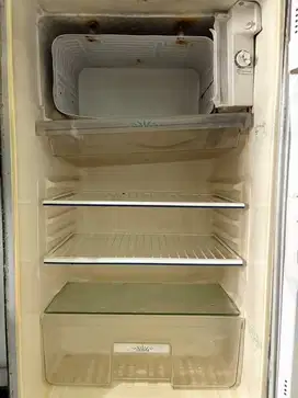 Kulkas 1 pintu freezer