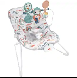 Fisher Price bouncer
