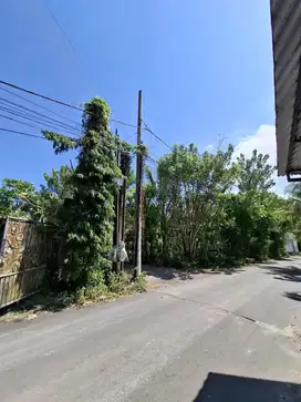 Tanah Belimbing Sari Pecatu Kuta Selatan badung