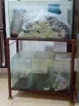 Rak aquarium masih bagus