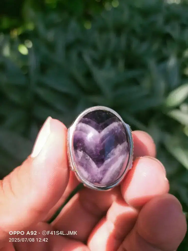 Kecubung Kalimantan ungu junder