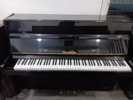 Piano Carlschluter