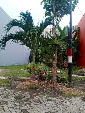 Dijual Kavling Tanah Murah Villa Kalijudan