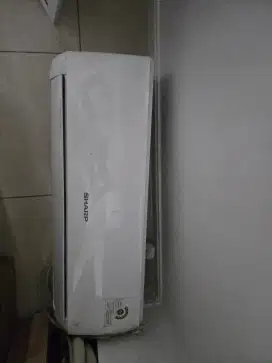 Ac Sharp 1/2 PK