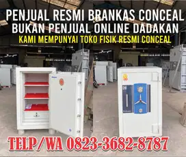 BRANKAS CONCEAL TAHAN API