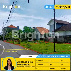 DIJUAL TANAH HOOK ,COCOK UNTUK TEMPAT TINGGAL ATAU RUKO DI UNGASAN .