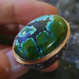Natural Pirus Hubei