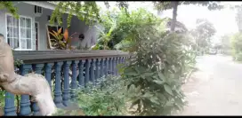 Dijual rumah murah,LT 90m,BEBAS BANJIR