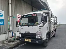 Dijual Truck Isuzu ELF NMR 71 2023 Bak Dropside