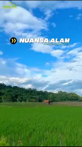 Jual tanah kavling nuansa alam
