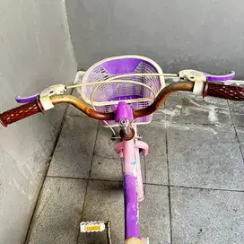 Jual sepeda anak perempuan