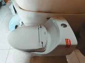 Keloset TOTO CW 823J, Kondisi bekas