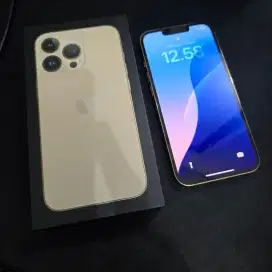 Iphone 13 Pro Gold ex Ibox Mulus