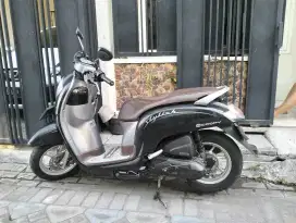 Scoopy thn. 2020