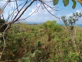 Land For Sale close to Savaya Beach Club, Uluwatu, South Kuta