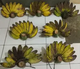 Pisang Kepok kuning