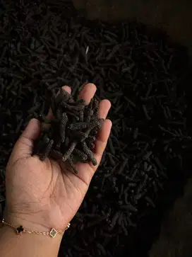 Cabe jamu jawa kering
