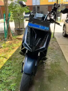 Alva Cervo tahun 2024