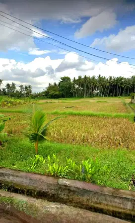 Tanah view sawah kemenuh Gianyar Bali