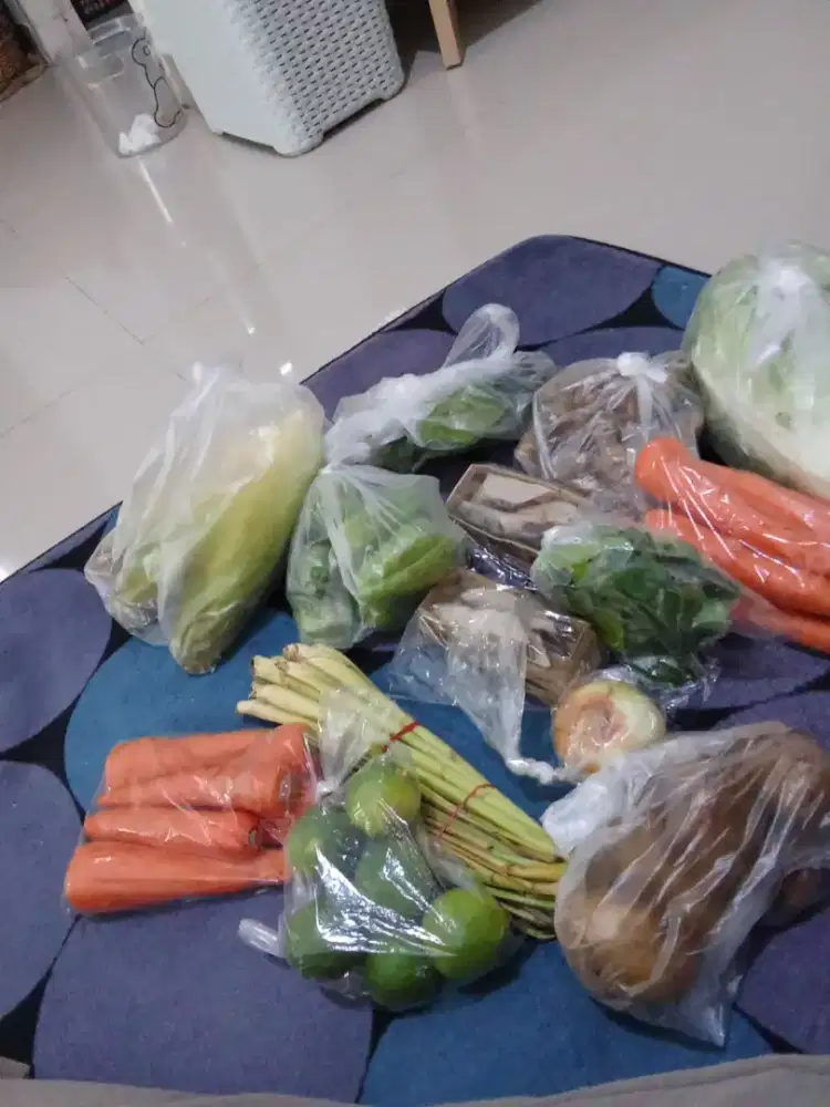 URGENT - ART ( pulang pergi )