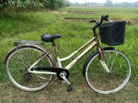 Siera Pasifik Uk 26 Aloy
