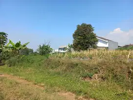 Dijual Tanah Dekat UMM Malang Jalan Lebar