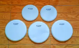 Head Drum Cupid