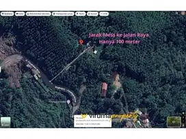 VSS0002 - Jual Cepat, Perkebunan Kayu Jati & Sengon, siap panen
