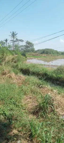 Dijual tanah 1,6 hektar