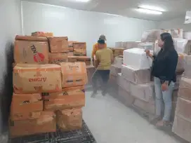 Pusat Grosir Daging Durian Yogyakarta