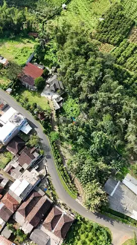 Dijual Tanah Strategis & Rumah di Nol Jl. Raya Petungsewu, Dau Malang