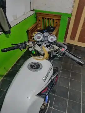 NINJA R UP SS 2014 ALBINO