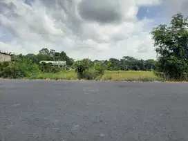Tanah raya munggu kapal tabanan