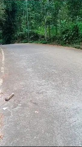 Tanah murah nol jalan