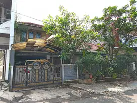 Rumah Asri di Jl Tebet Barat Dalam II Tebet  Jakarta Selatan
