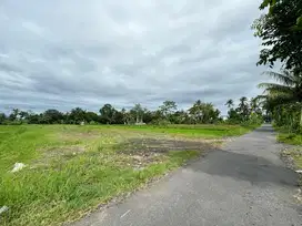 Tanah Murah Kaliurang Sleman, Siap Bangun