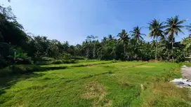 Tanah dekat Kopi Ampirono dan Exit Tol Sentolo