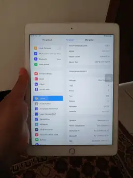 Ipad Air 2 64 GB