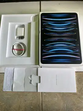 Ipad Pro M2 256gb