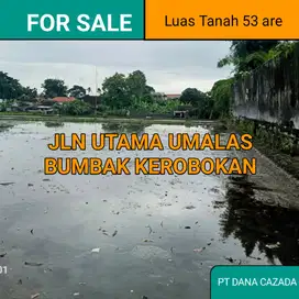 DISEWAKAN TANAH UTAMA BUMBAK KEROBOKAN 53 ARE