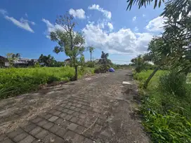 dijual tanah premium lokasi kedungu tabanan