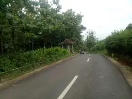 Jhon- DiJual Tanah di JALAN SARENG SEGULUNG , Dagangan , Madiun