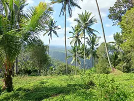 Dijual tanah full view di selemadeg barat Tabanan bali