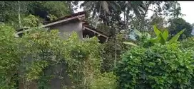 JUAL TANAH DI GIRIPURWO GIRIMULYO KULONPROGO