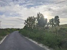 Dijual murah tanah strategis area Sumba Barat Daya -NTT