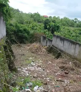 Tanah di Ungasan Badung,area berkembang Bali luas 600m harg 7.5juta/m