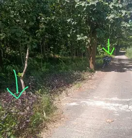 INVESTASI TANAH PEKARANGAN 2515M2 45ORB/M DKT JATP KULON PROGO.JK13360
