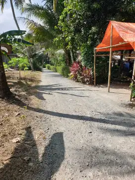 JUAL TANAH DI DEPOK PANJATAN KULONPROGO